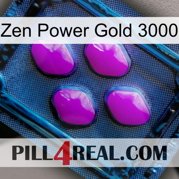 Zen Power Gold 3000 04.jpg